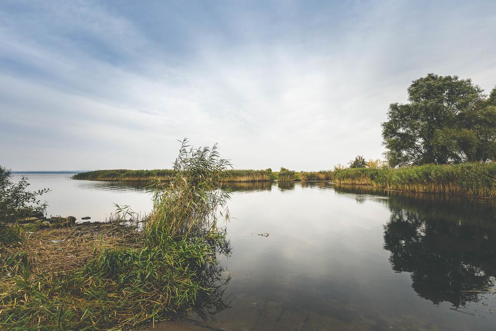 Landhaus Mit Garten Szczecin Luaran gambar